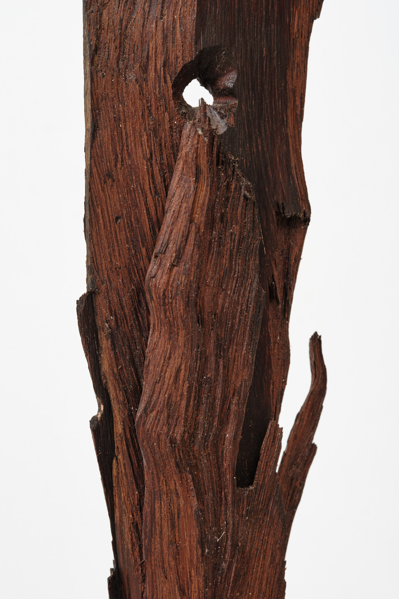 Michael Roderick Wedderburn Sculpture